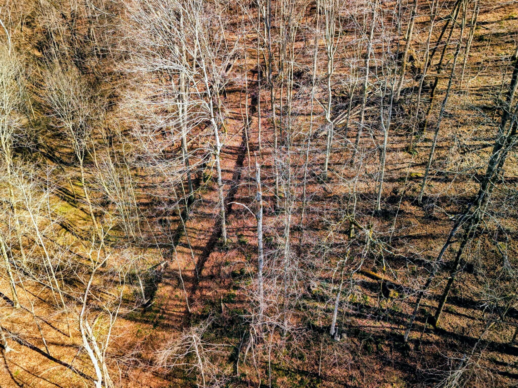 2400 Chicken Creek Road Pulaski, TN 38478 - Photo 7 of 28