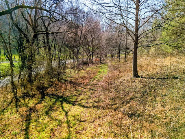 a view of mountain with trees in the background