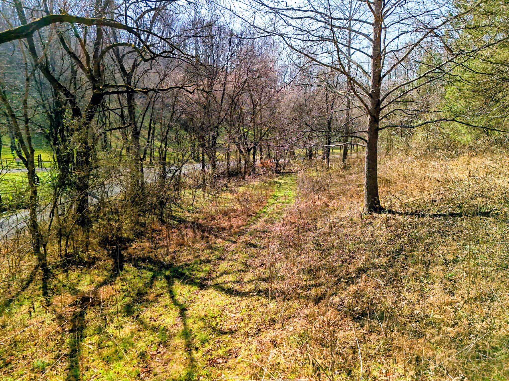 2400 Chicken Creek Road Pulaski, TN 38478 - Photo 10 of 28 a backyard of a house with lots of green space