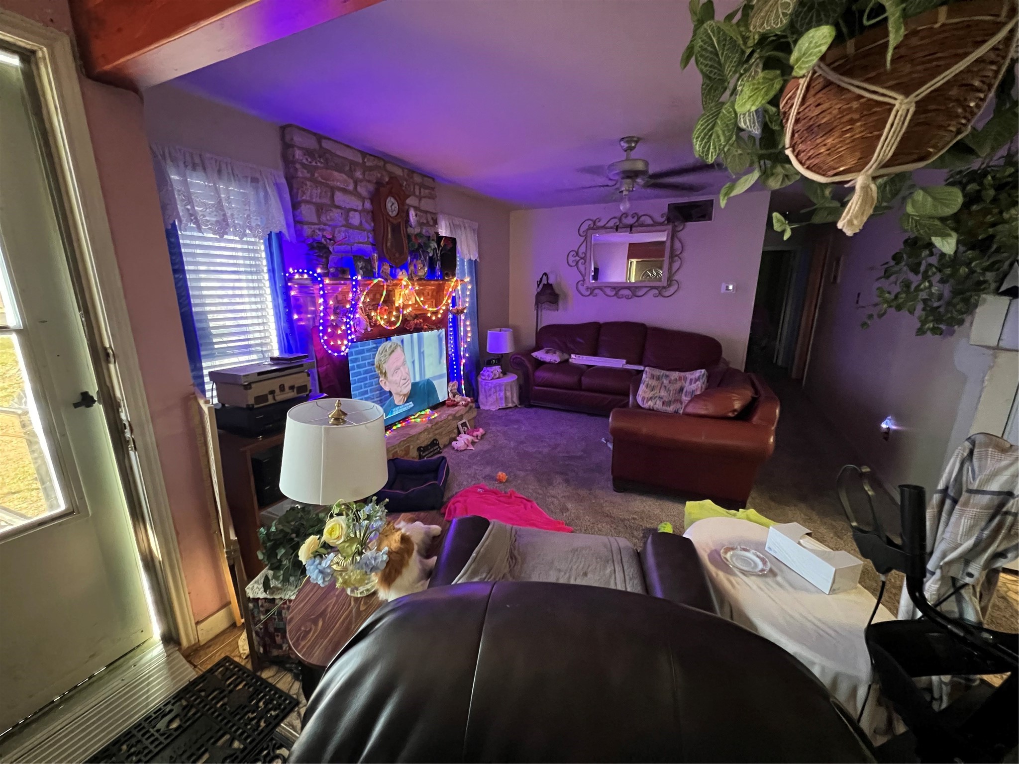 2903 Blue Ridge Drive Cedar Park, TX 78613 - Photo 4 of 25