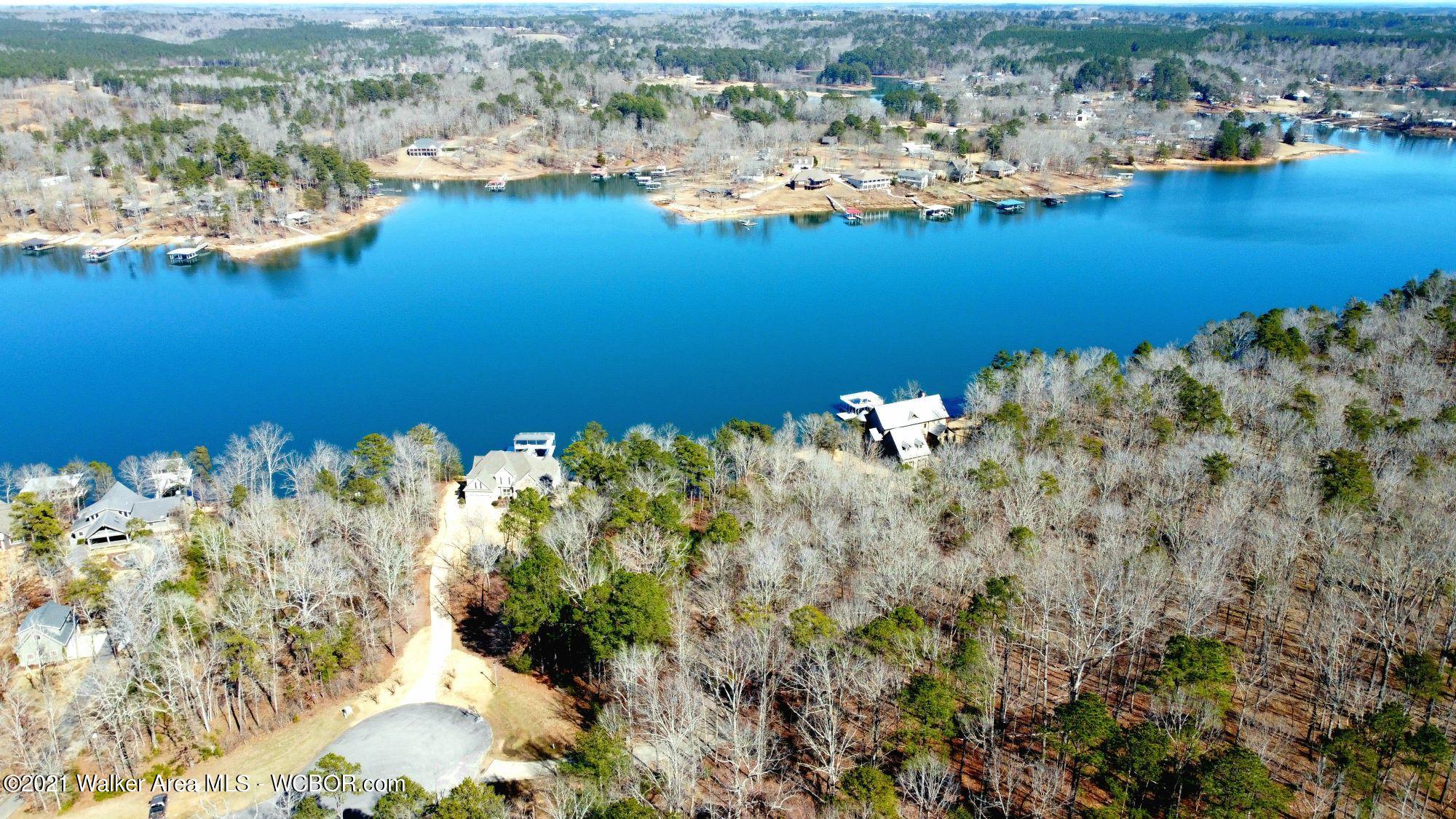 Lot 148 Stoney Point Road Double Springs, AL 35553 - Photo 2 of 17 Gallery Image 2