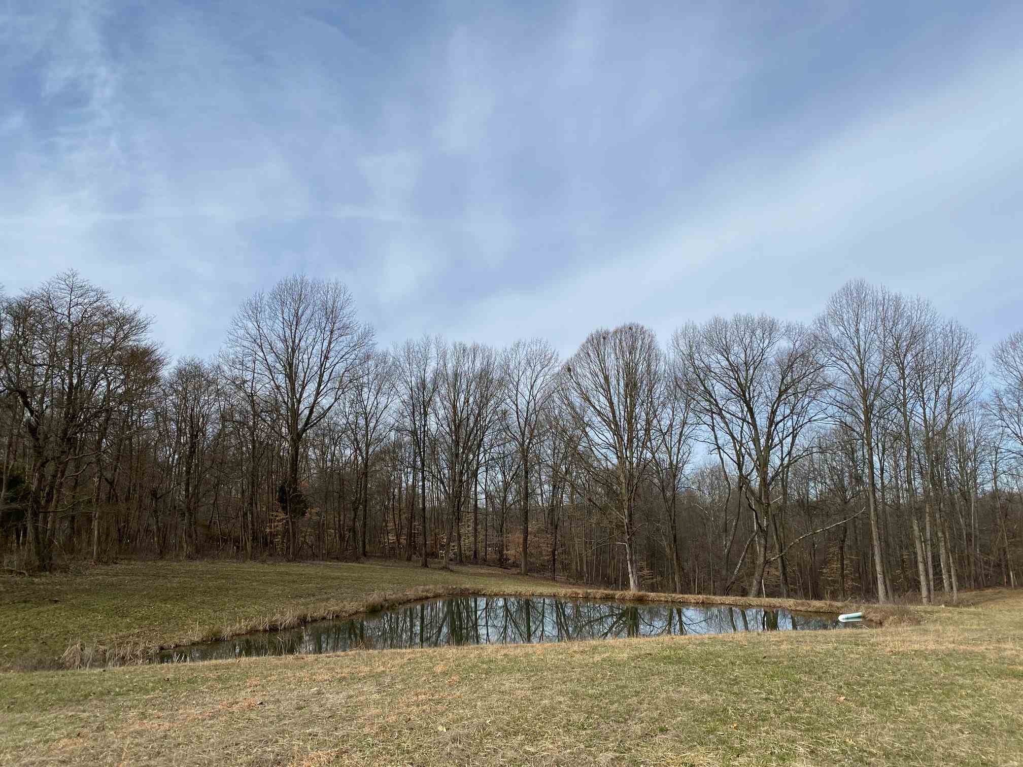 2595 East Tulip Road Bloomfield, IN 47424 - Photo 3 of 3