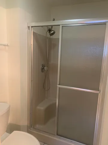 a bathroom with a shower and toilet