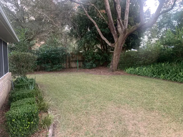 a view of a backyard with a tree