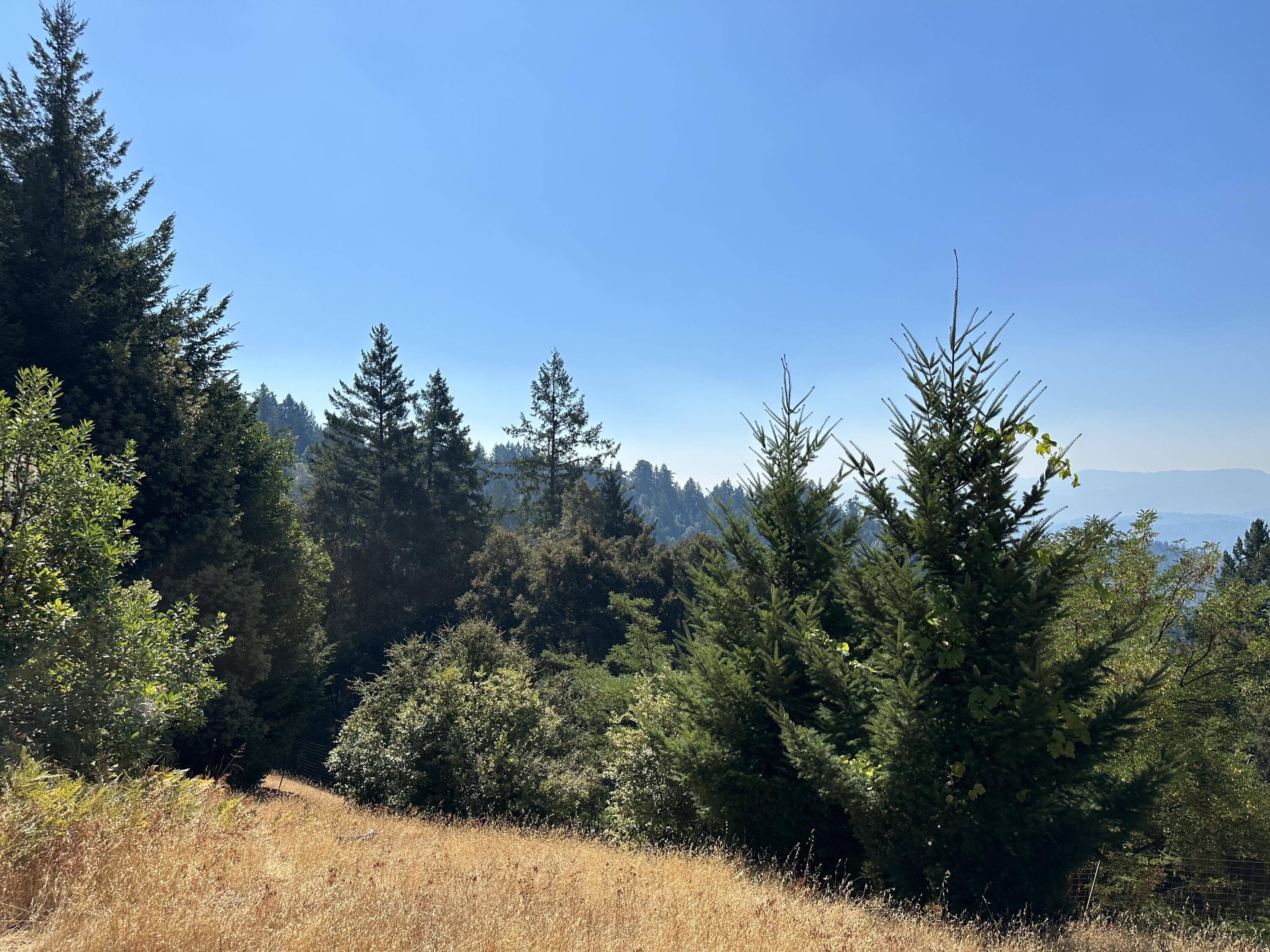 4840 Doody Ridge Road Garberville, CA 95542 - Photo 2 of 80