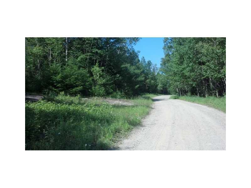 Lot 31 Upper Dobsis Road Lakeville, ME 04487 - Photo 3 of 12 Land/Lot.