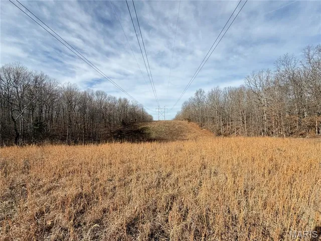 $499,000 | 1620 County Road 5170, Salem, MO 65560