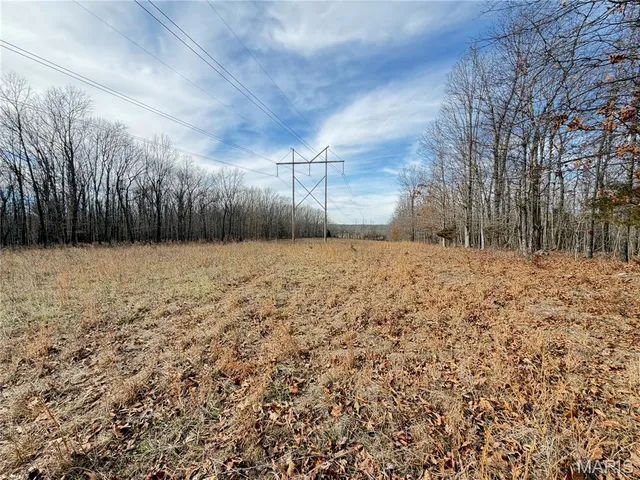 $499,000 | 1620 County Road 5170, Salem, MO 65560