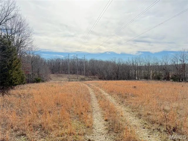 $499,000 | 1620 County Road 5170, Salem, MO 65560