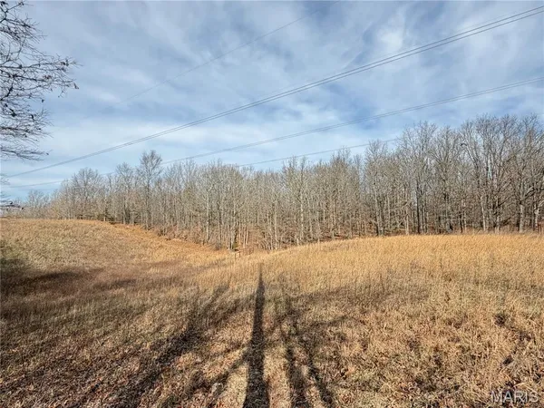 $499,000 | 1620 County Road 5170, Salem, MO 65560