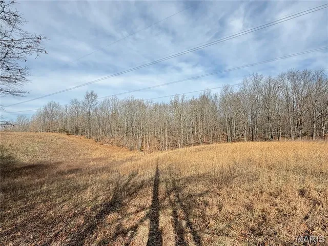 $499,000 | 1620 County Road 5170, Salem, MO 65560