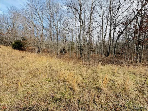 $499,000 | 1620 County Road 5170, Salem, MO 65560