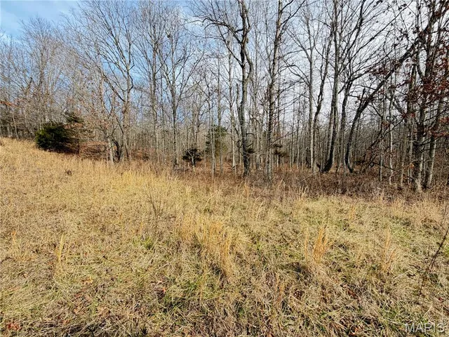 $499,000 | 1620 County Road 5170, Salem, MO 65560