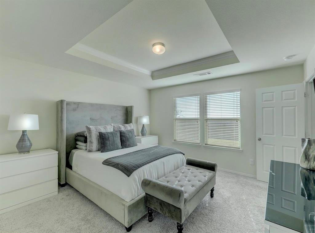 2207 Heaton Street Forney, TX 75126 - Photo 13 of 25 Carpeted bedroom featuring a tray ceiling, dual windows with blinds, a paneled interior door, and light-toned walls
