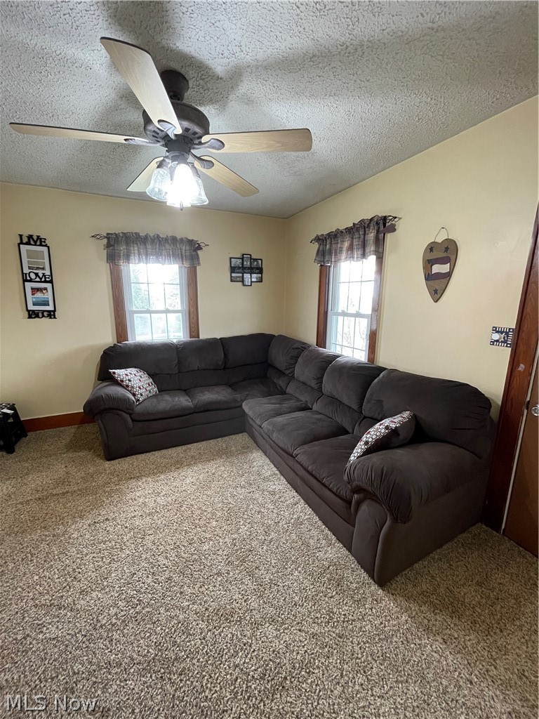 55461 Mt Victory Road Powhatan Point, OH 43942 - Photo 9 of 35 Gallery Image 9