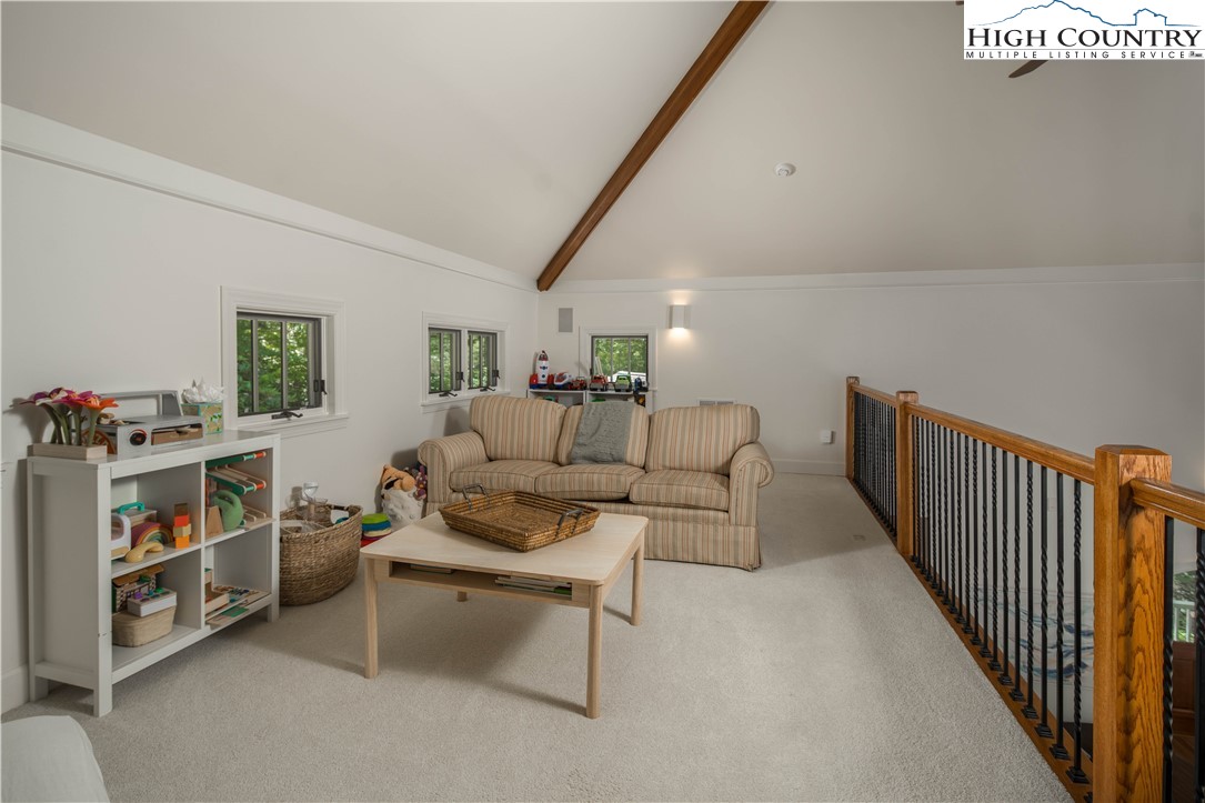 509 Twin Rivers Drive Boone, NC 28607 - Photo 21 of 50