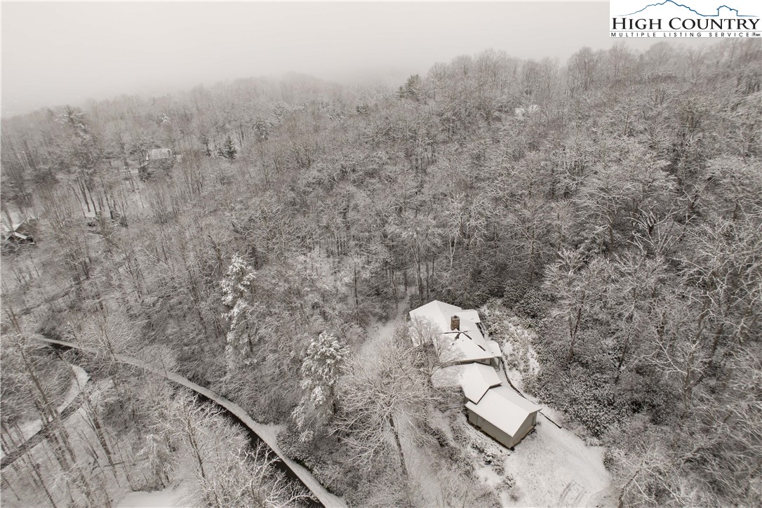 509 Twin Rivers Drive Boone, NC 28607 - Photo 4 of 50