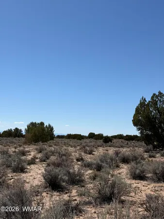a view of a dry field with trees in background