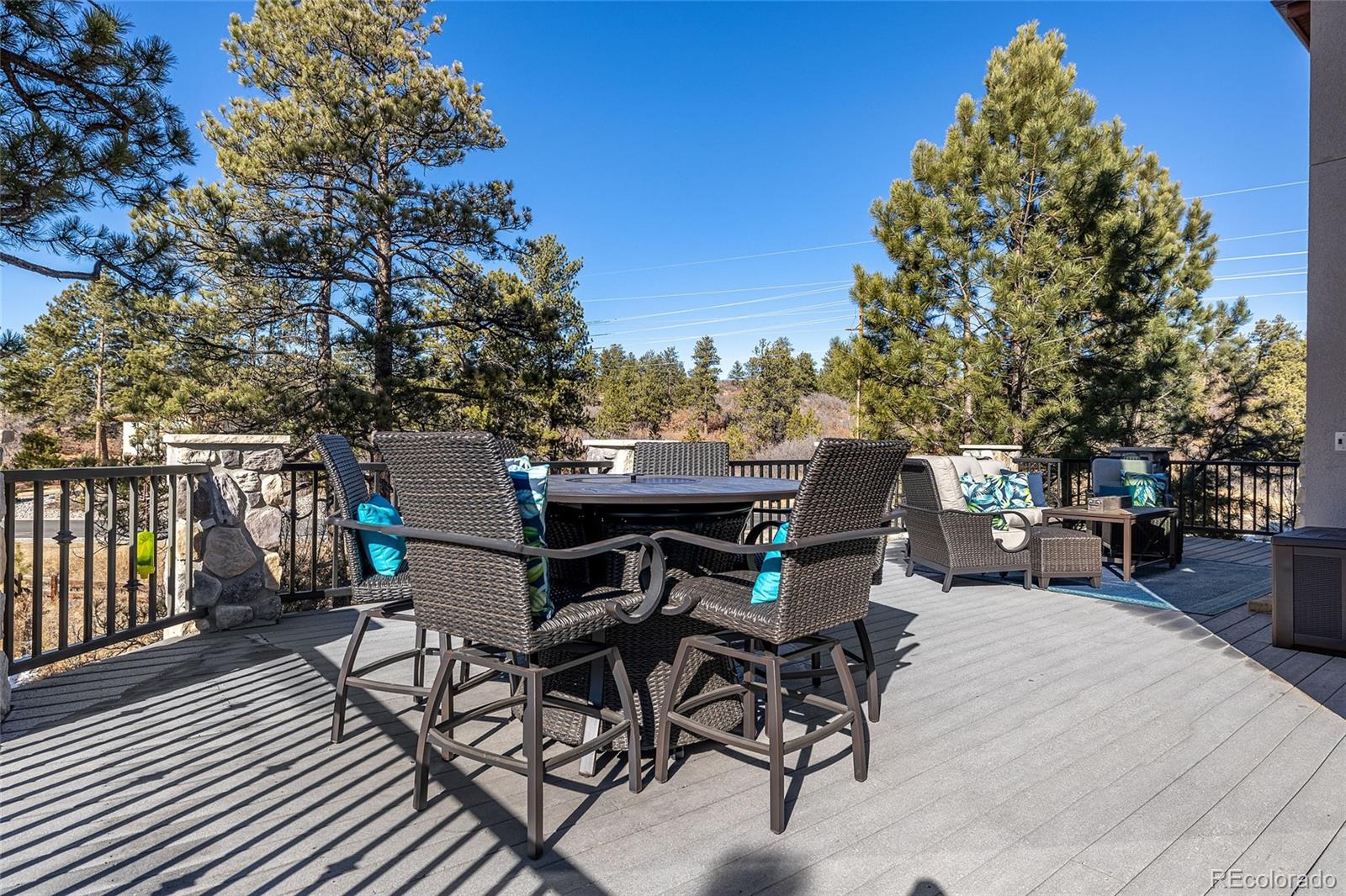 2540 Saddleback Drive Castle Rock, CO 80104 - Photo 11 of 40