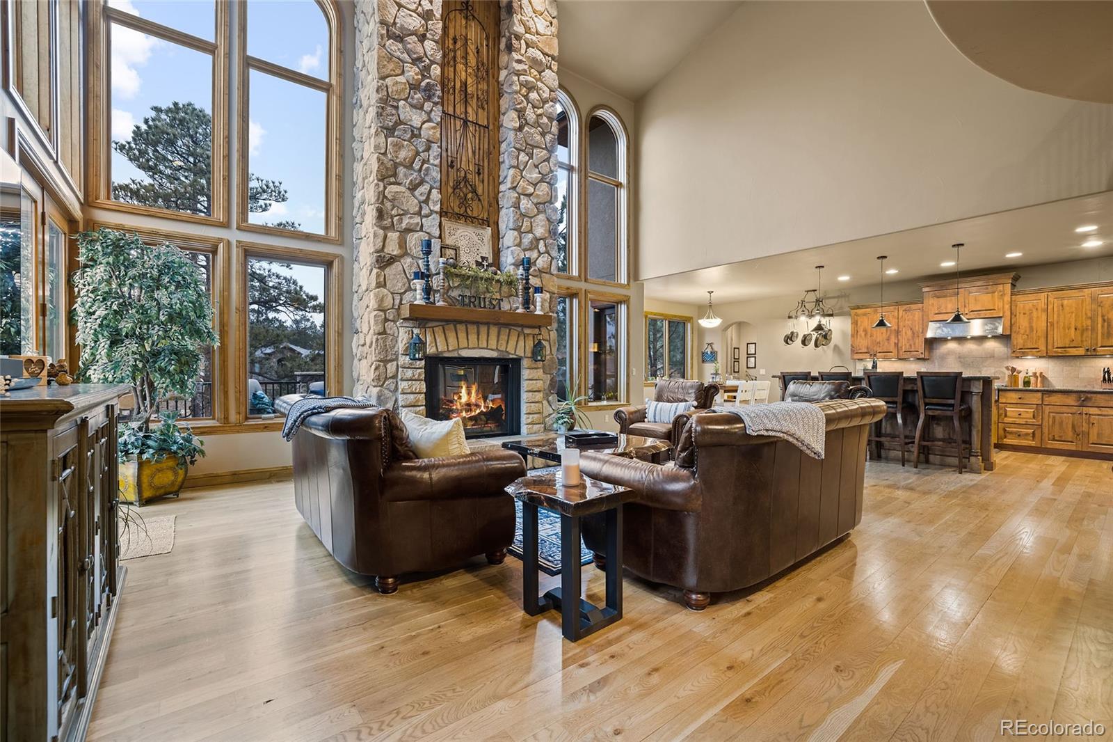 2540 Saddleback Drive Castle Rock, CO 80104 - Photo 7 of 40