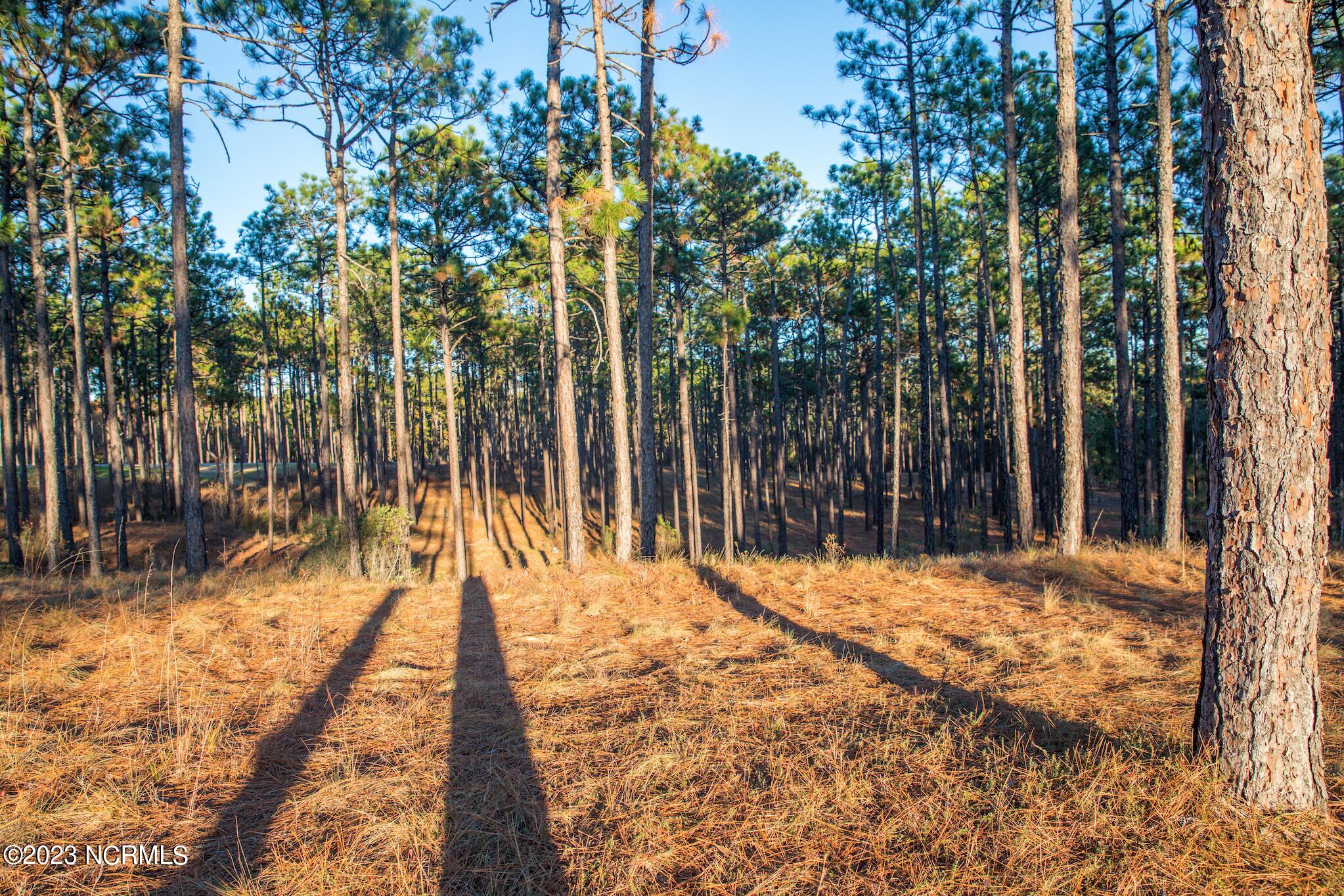 145 Pixie Moss Lane Southern Pines, NC 28387 - Photo 2 of 3 Screen Shot 2023-04-01 at 11.43.49 PM