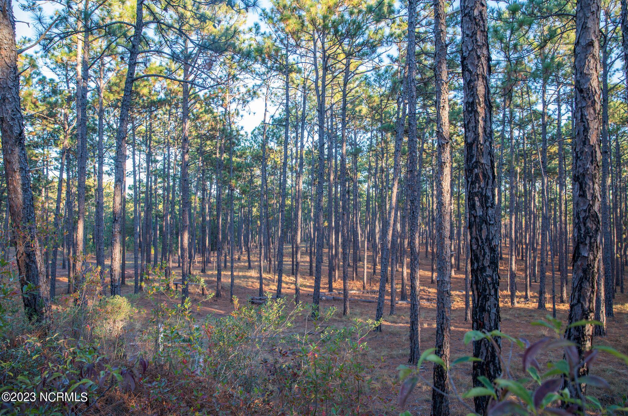 145 Pixie Moss Lane Southern Pines, NC 28387 - Photo 3 of 3 Screen Shot 2023-04-01 at 11.44.03 PM