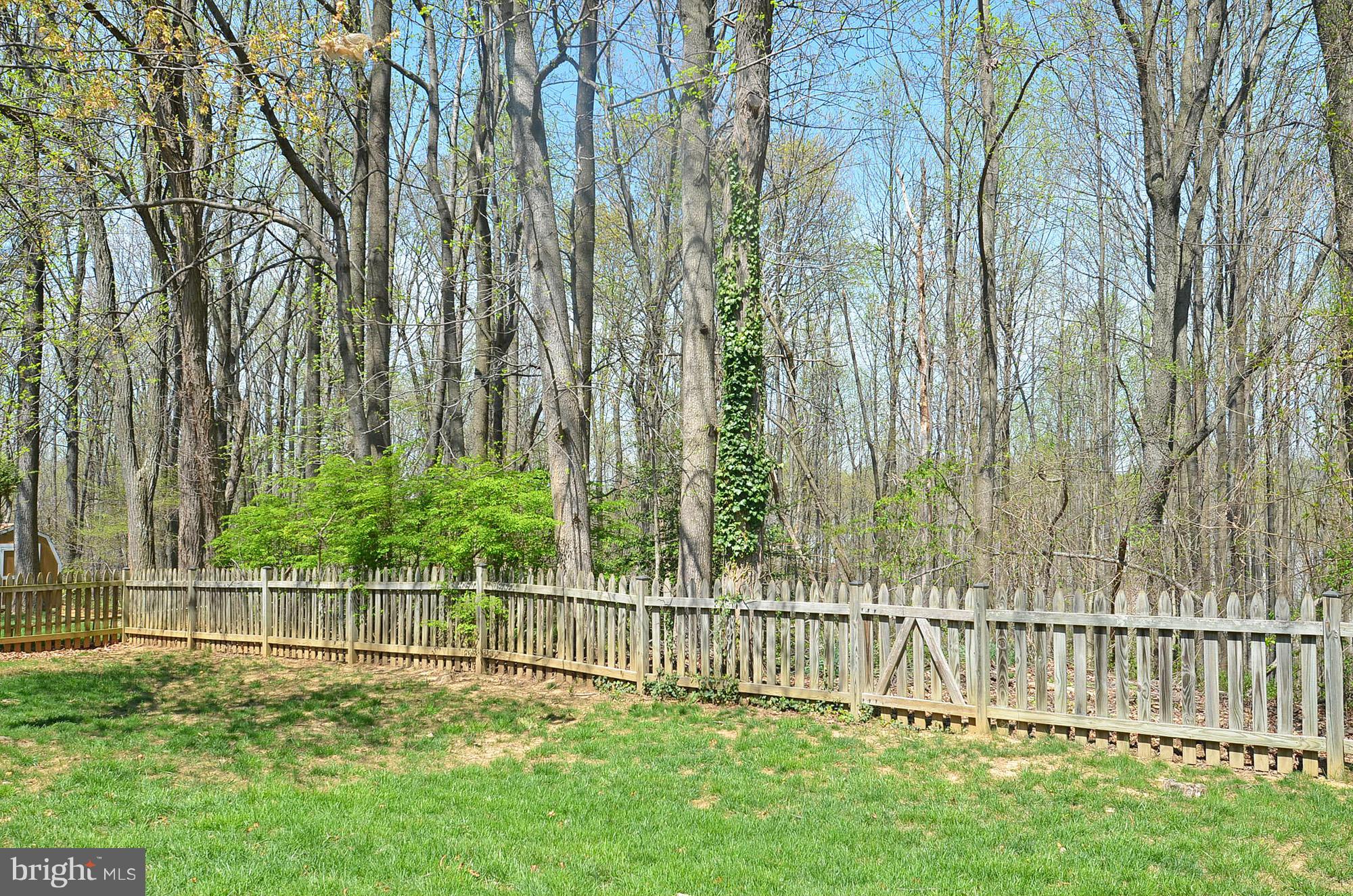 6718 Morning Ride Circle Alexandria, VA 22315 - Photo 6 of 30 Fenced Backyard Backing to Woods