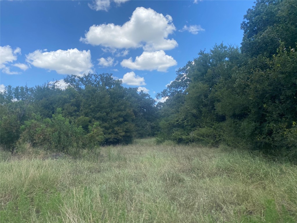 945 Justice Road West Point, TX 78963 - Photo 29 of 35 a view of a yard