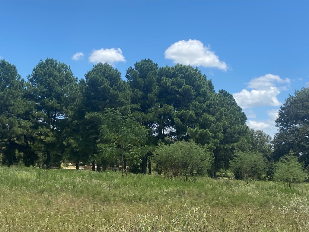 945 Justice Road West Point, TX 78963 - Photo 32 of 35 a view of a bunch of trees in a field