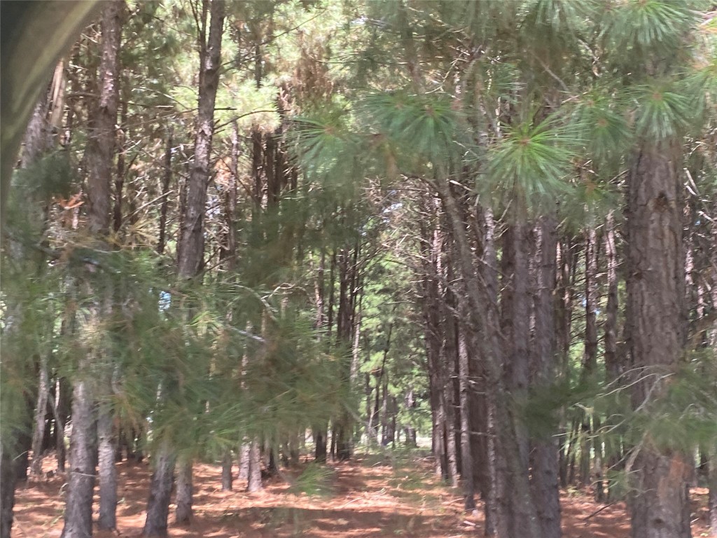 945 Justice Road West Point, TX 78963 - Photo 33 of 35 a view of road with trees