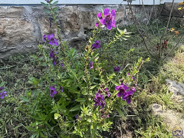 $99,000 | 236 West 7th Street, Florence, KS 66851