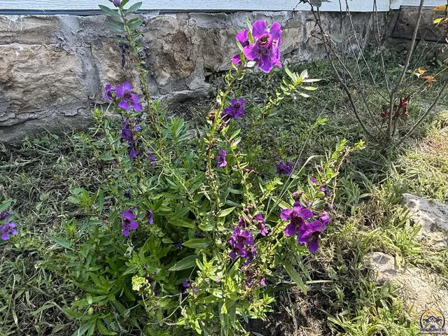 $99,000 | 236 West 7th Street, Florence, KS 66851