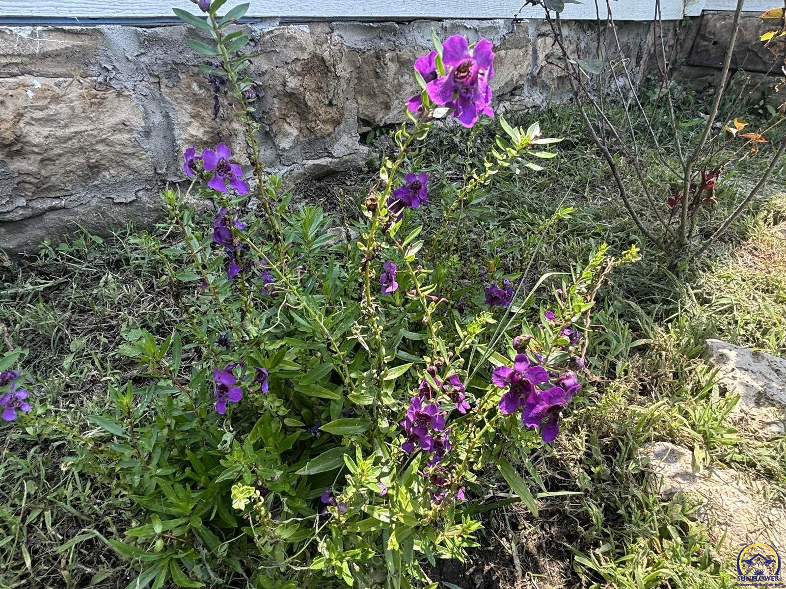 236 West 7th Street Florence, KS 66851 - Photo 17 of 66