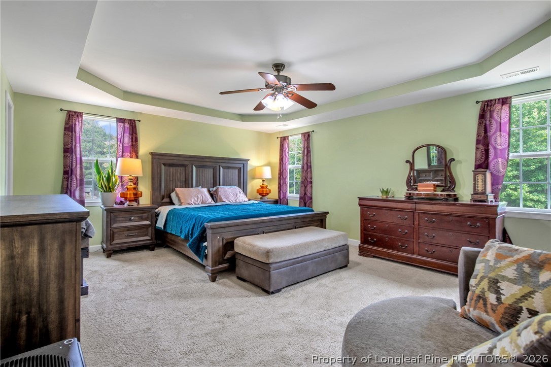 141 Rainmaker Street Linden, NC 28356 - Photo 24 of 33