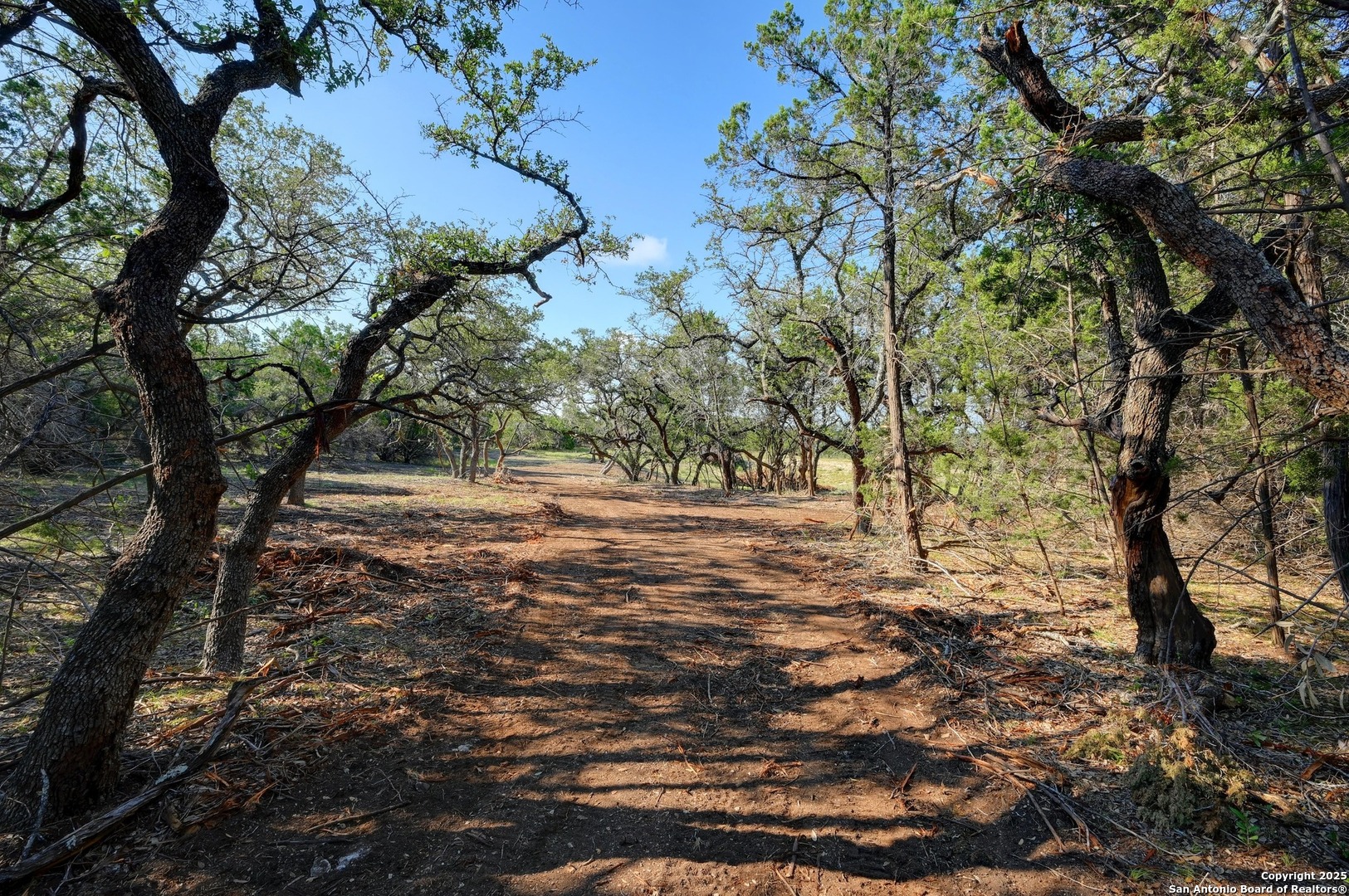 a view of mountain view with lots of trees