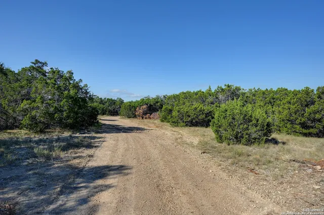 a view of a dirt road with trees in the background