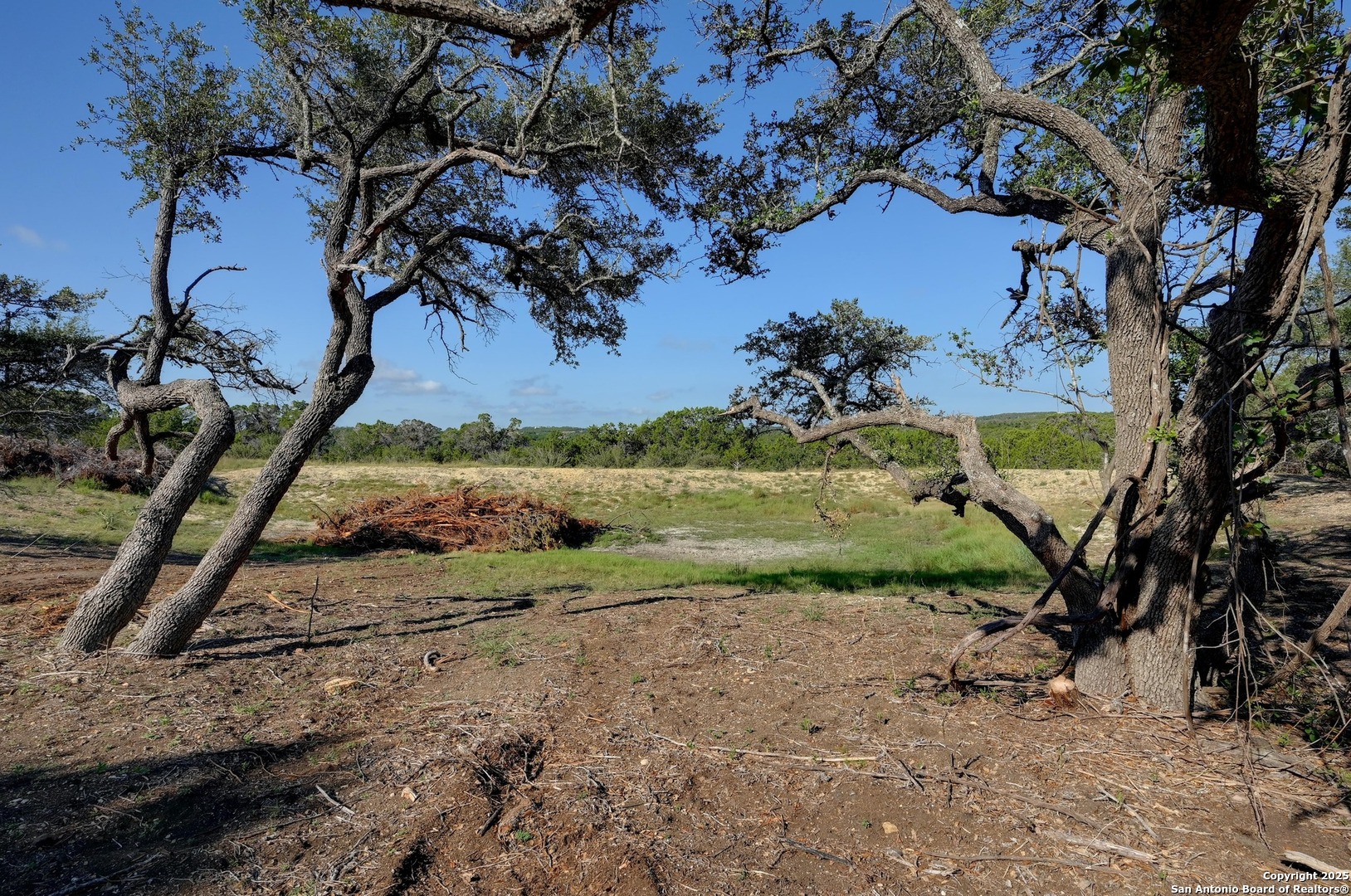 Tract 1 Pierson Road Blanco, TX 78606 - Photo 8 of 12 a view of a yard with a tree