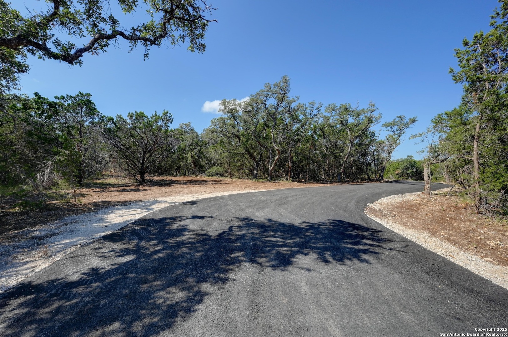 Tract 1 Pierson Road Blanco, TX 78606 - Photo 9 of 12 a view of a yard with a tree