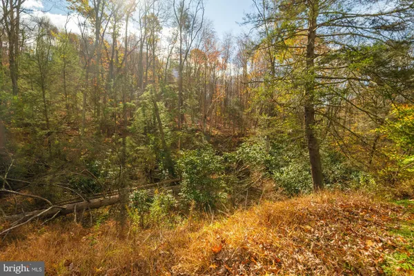 a view of residential trees