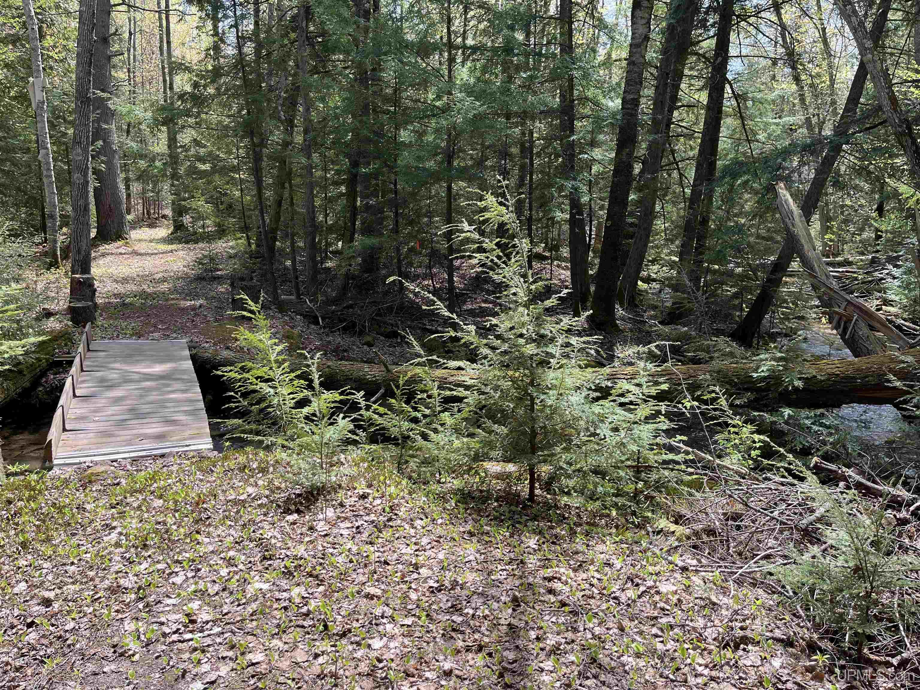 38-acres County Rd NA Road Marquette, MI 49855 - Photo 54 of 70