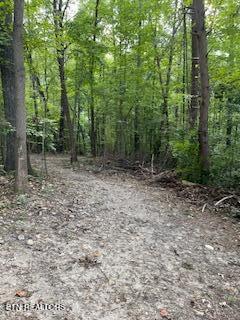 Wells Road Powell, TN 37849 - Photo 6 of 12 Wells Rd 8