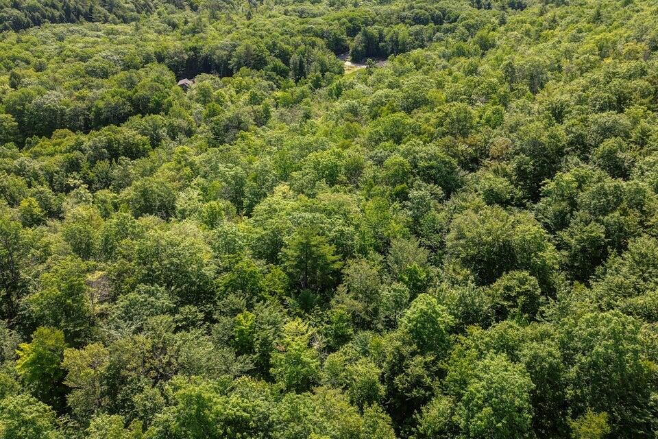 325 North Raymond Road Poland, ME 04274 - Photo 26 of 35 20250729193942493052000000-o