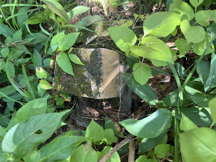 325 North Raymond Road Poland, ME 04274 - Photo 35 of 35 20250730155117601276000000-o