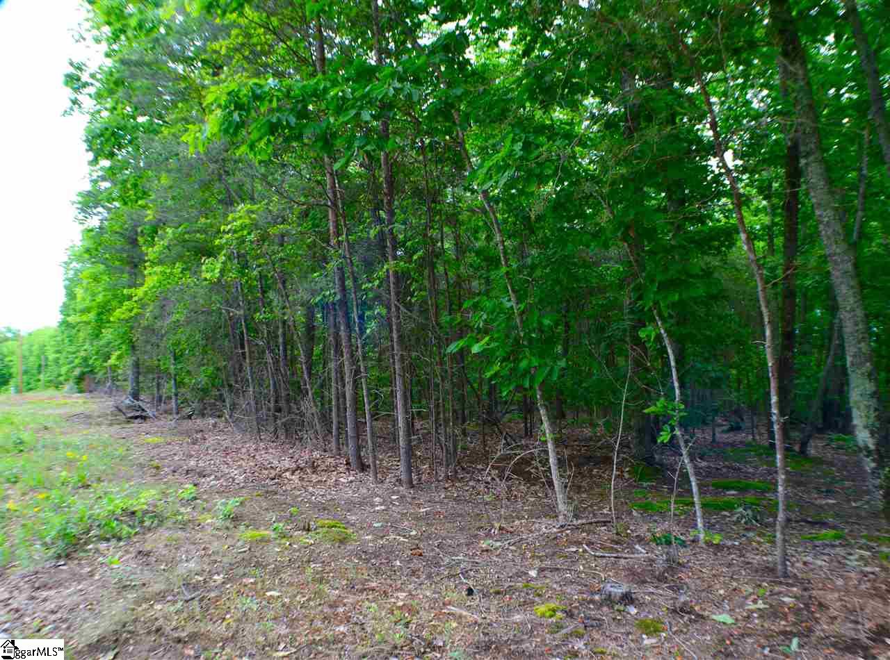0 Red Hill Spur Road Landrum, SC 29356 - Photo 1 of 5 Gallery Image 1
