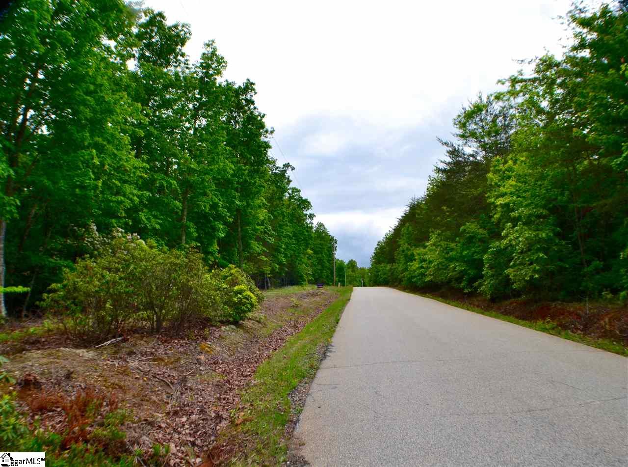 0 Red Hill Spur Road Landrum, SC 29356 - Photo 4 of 5 Gallery Image 4
