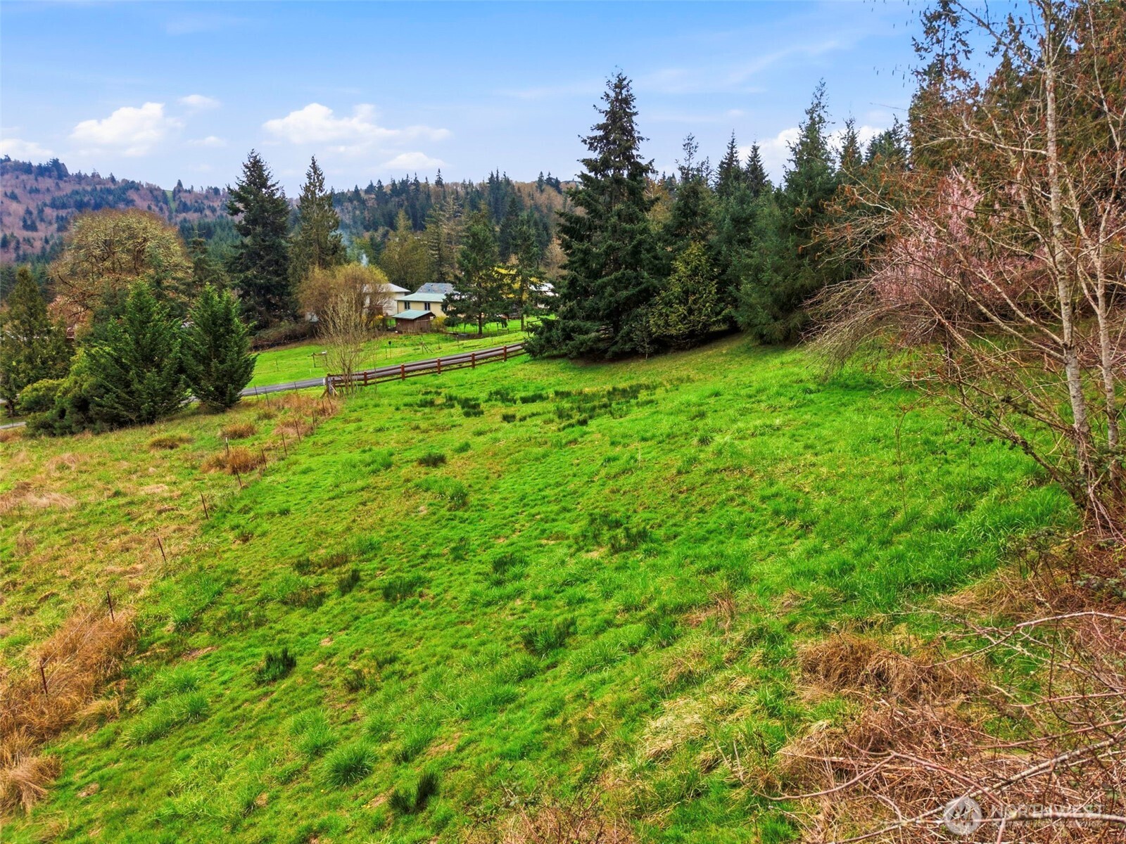 0 Spencer Creek Road Kalama, WA 98625 - Photo 21 of 24 a view of a garden with a building in the background