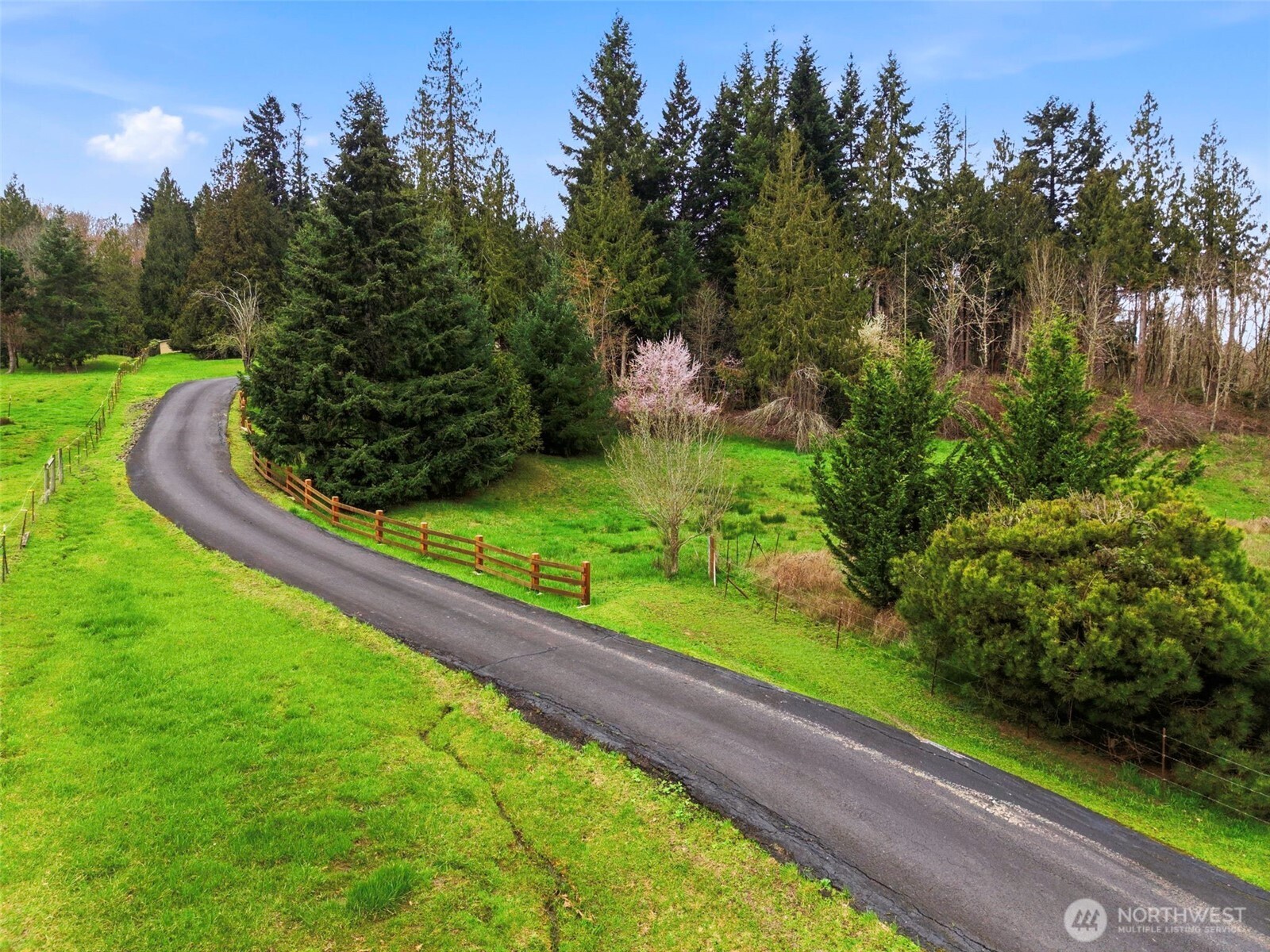 0 Spencer Creek Road Kalama, WA 98625 - Photo 22 of 24 a view of a yard with a fountain
