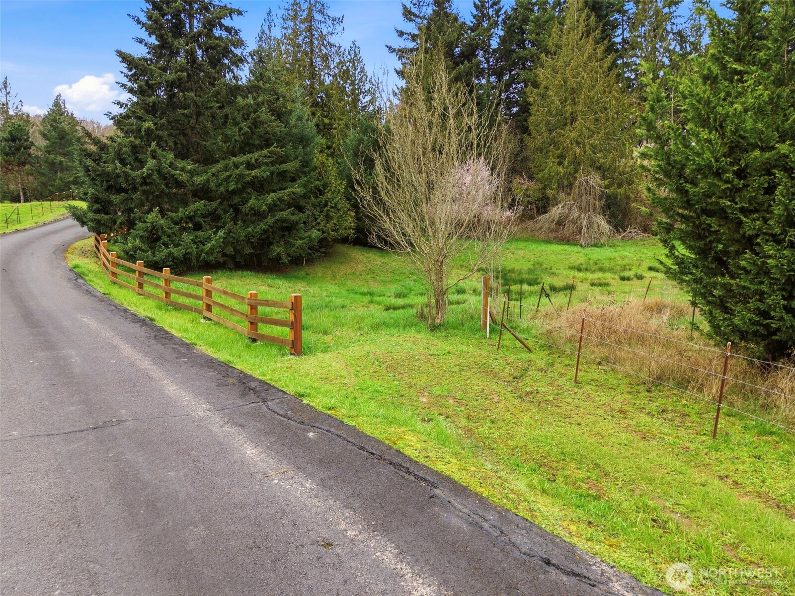 0 Spencer Creek Road Kalama, WA 98625 - Photo 23 of 24 a view of a garden with a bench