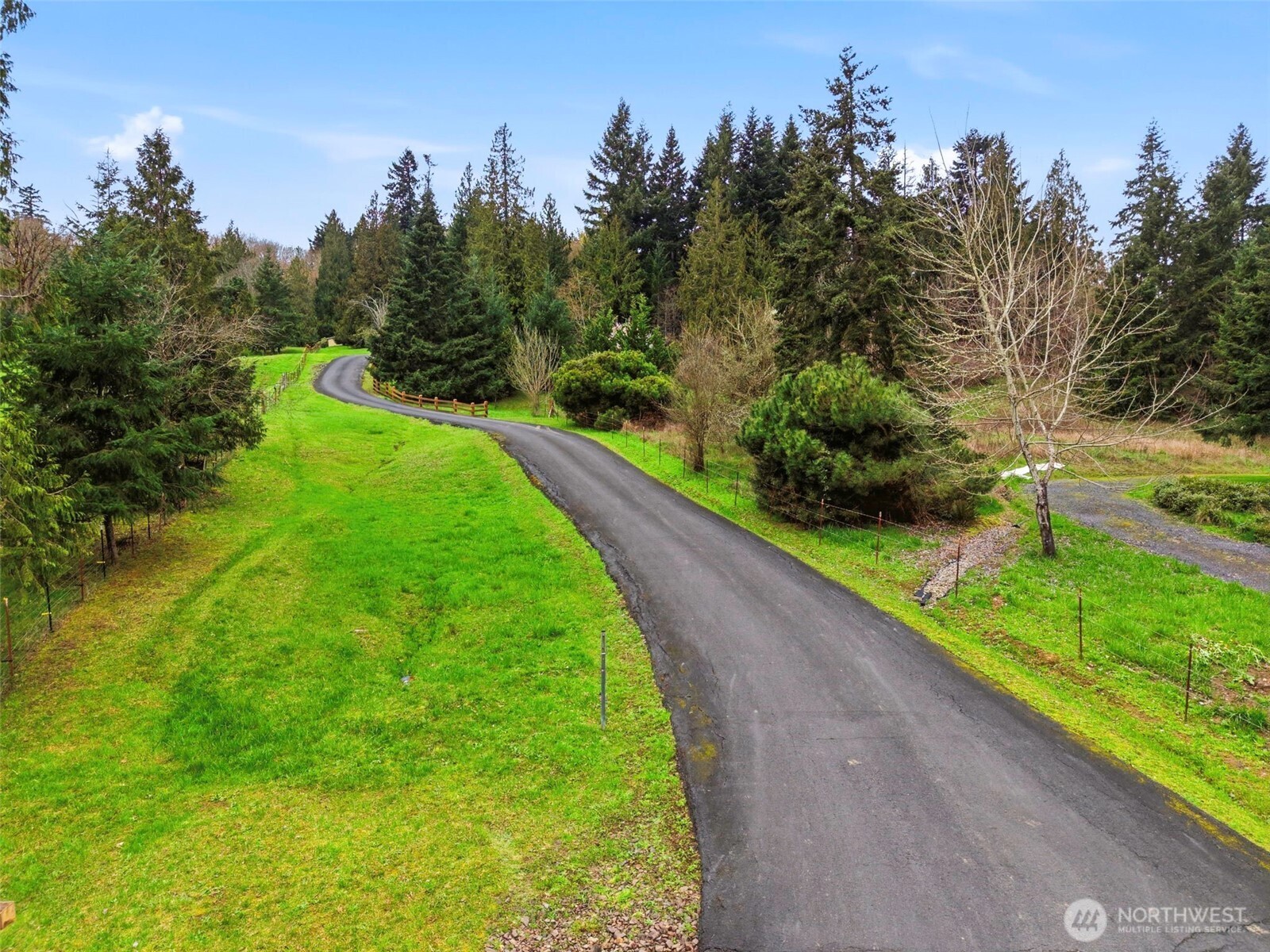 0 Spencer Creek Road Kalama, WA 98625 - Photo 24 of 24 a view of a street both of side of trees with flower plants in front of it