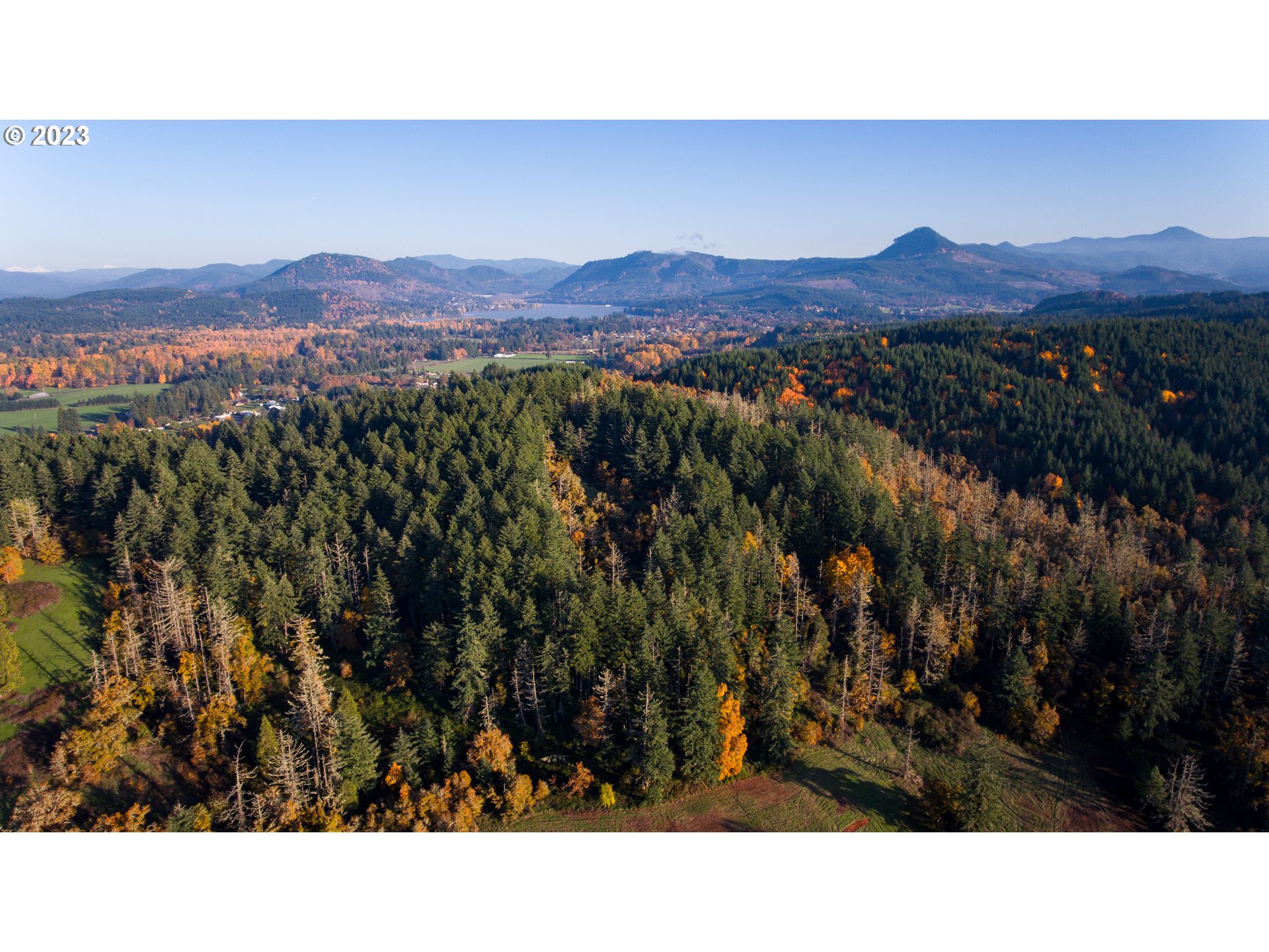 83145 Rattlesnake Road Dexter, OR 97431 - Photo 6 of 21